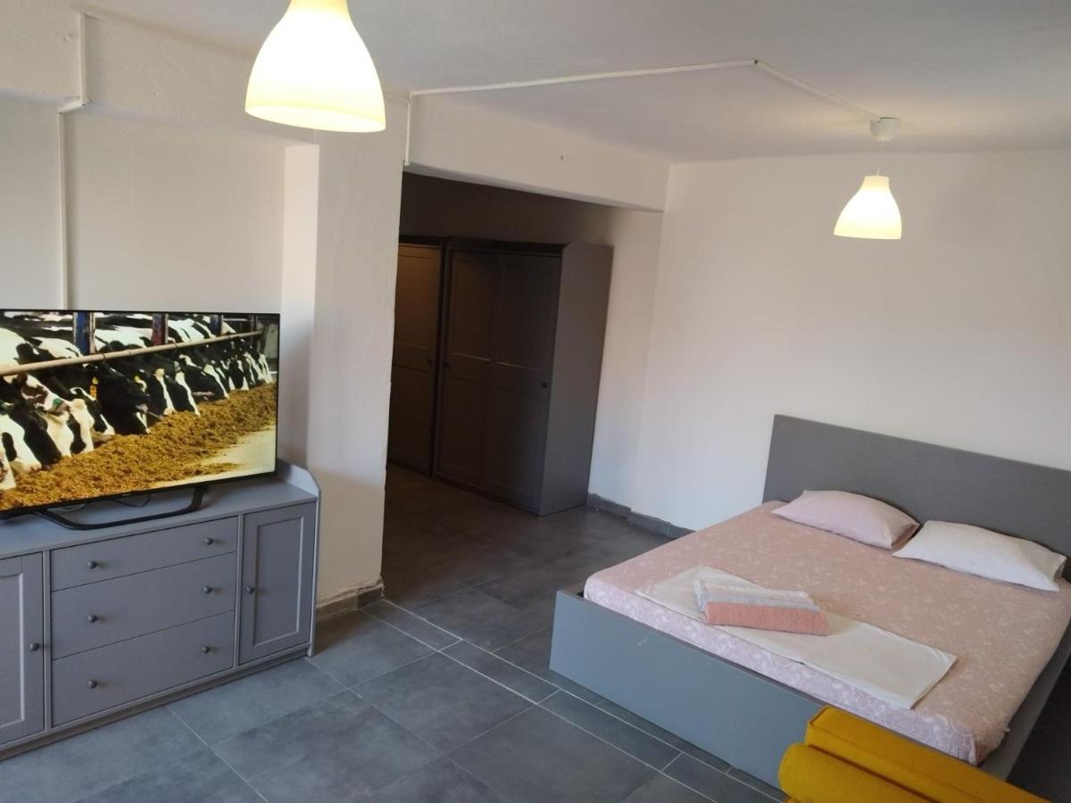 Apartmani Radic Rg 로고즈니차 외부 사진